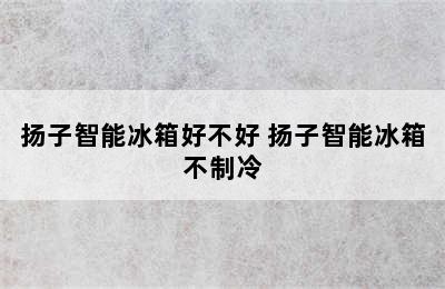 扬子智能冰箱好不好 扬子智能冰箱不制冷